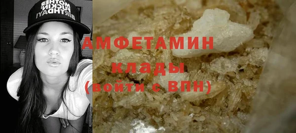 стаф Алзамай
