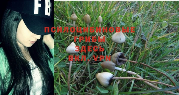 марки lsd Алексин