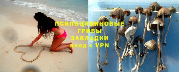 круглые Аркадак
