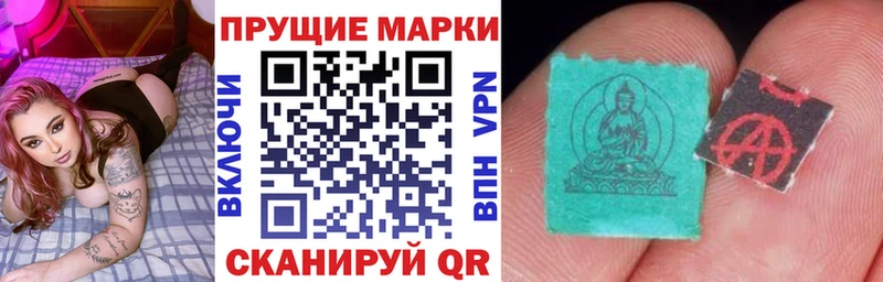 купить закладку  Ельня  Марки N-bome 1,8мг 