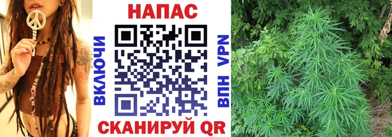 Марихуана SATIVA & INDICA  Ельня 
